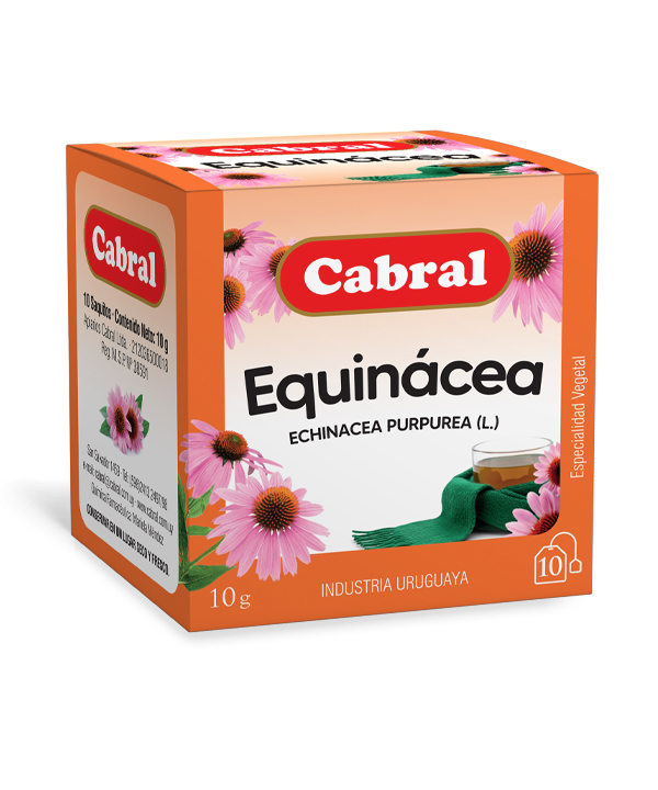 Equinácea